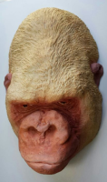 Dodenmasker Albino Gorilla